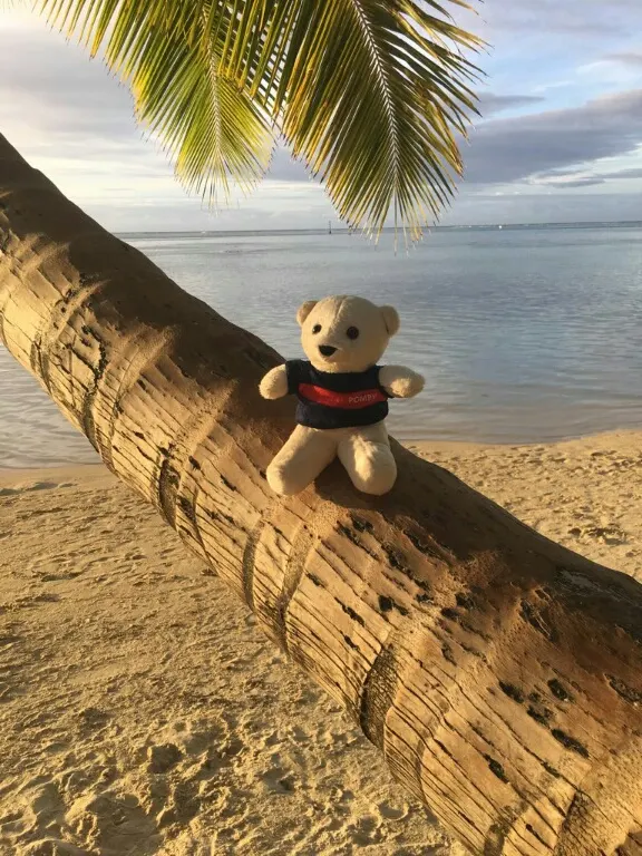 Pompy assis sur un tronc de cocotier au bord d’un lagon